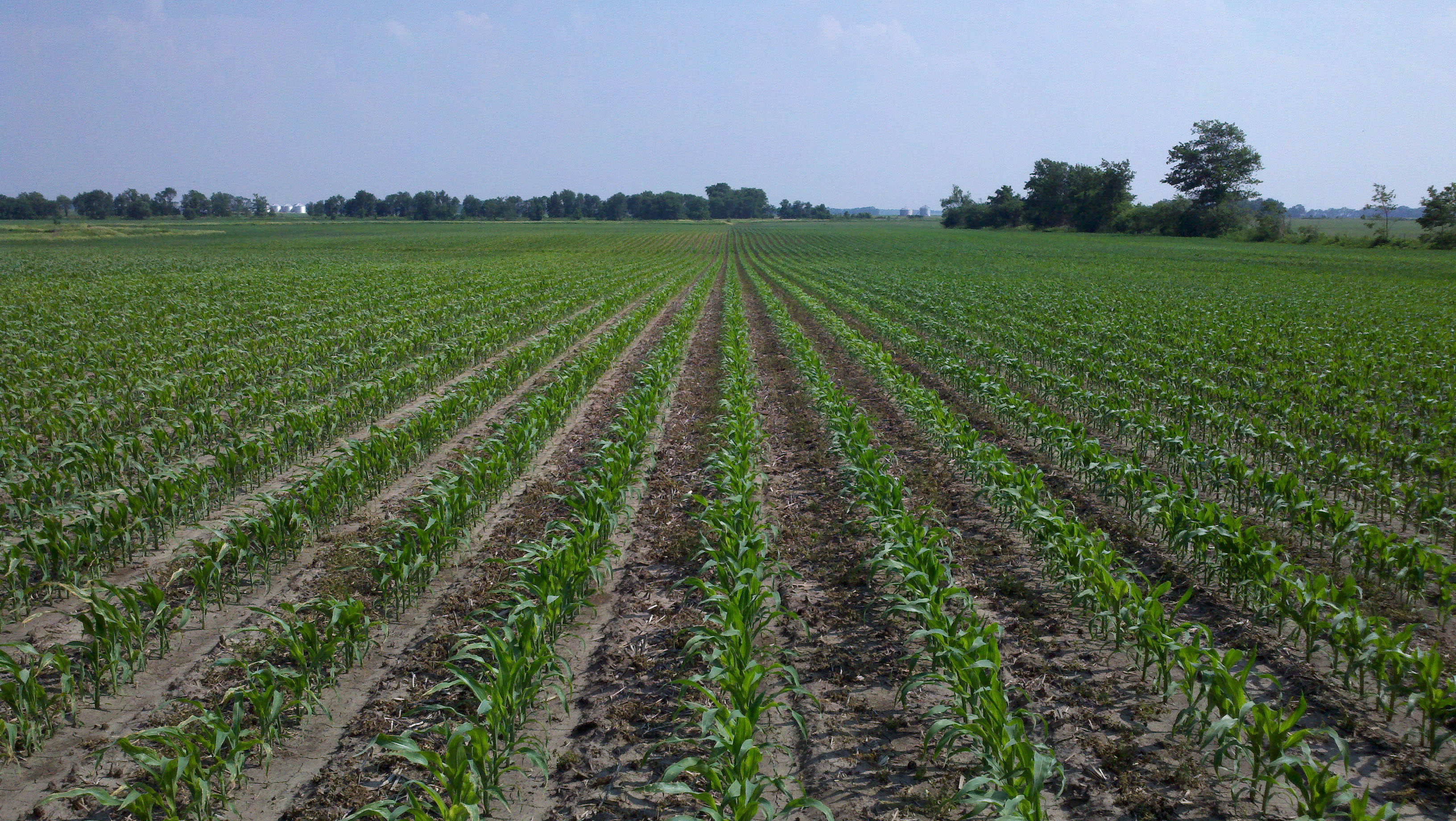 Farm Hist